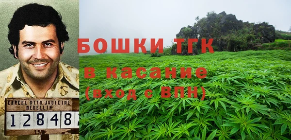 хмурый Белокуриха