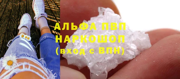 гашик Белоозёрский