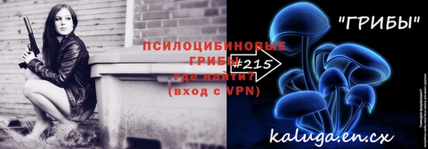 хмурый Белокуриха