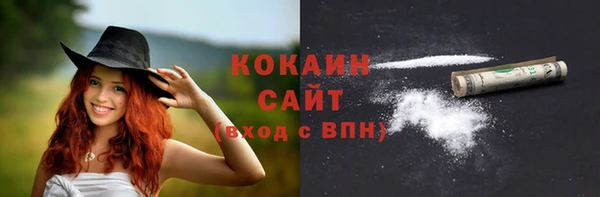 хмурый Белокуриха