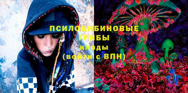 гашик Белоозёрский