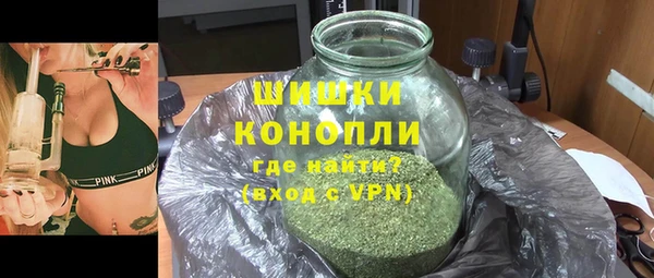 хмурый Белокуриха