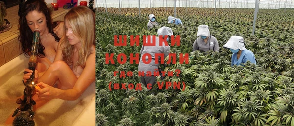 хмурый Белокуриха