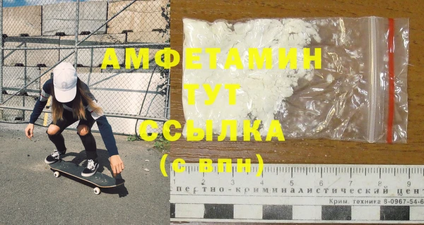 хмурый Белокуриха