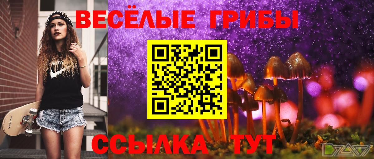 Галлюциногенные грибы MAGIC MUSHROOMS  Вход с VPN  Сланцы 