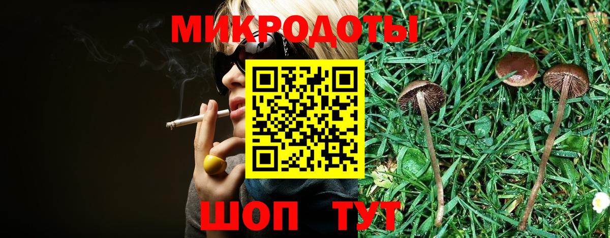 Галлюциногенные грибы ЛСД Сланцы