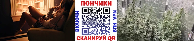 купить  цена  Сланцы  Каннабис марихуана 