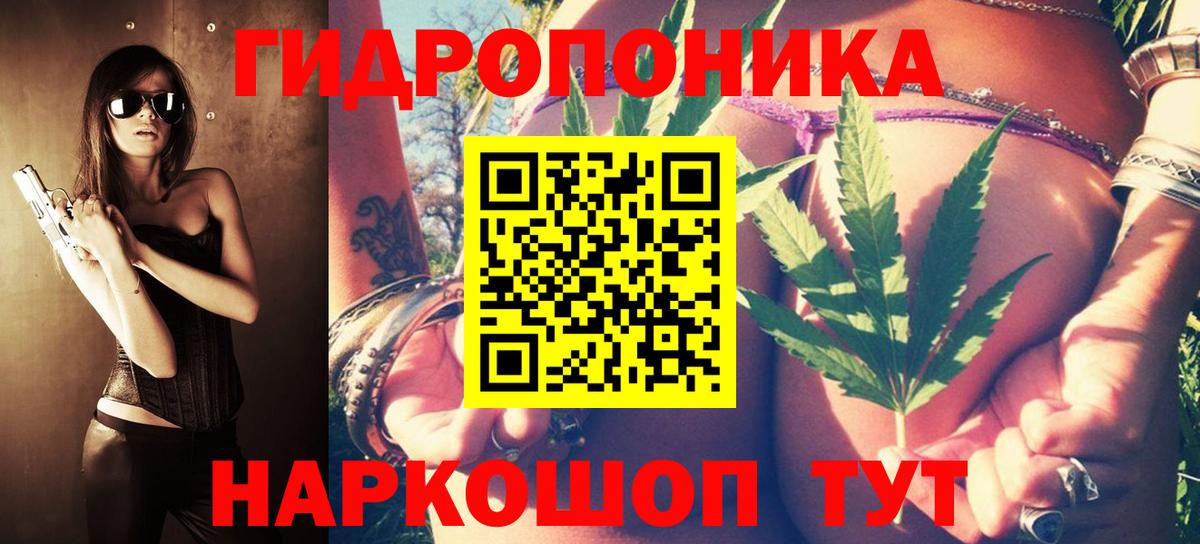 Шишки марихуана THC 21%  Канабис SATIVA & INDICA  Канабис OG Kush  Сланцы  Вход с VPN  Канабис ГИДРОПОН 